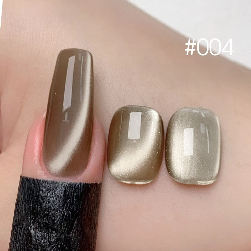 DANZHIHE 12g Glass Moonlight Cat Eye Gel Polish T4842