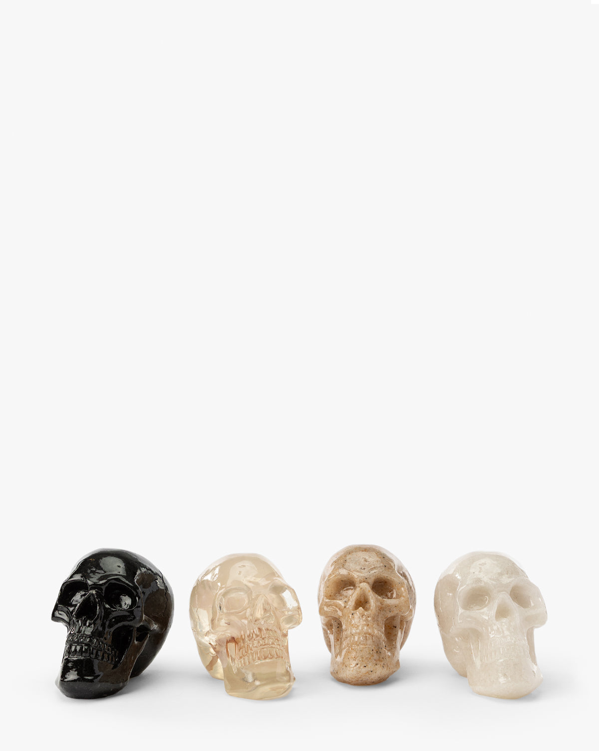 Assorted Resin Skulls (Boxed Set of 4)
