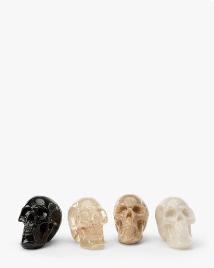 Assorted Resin Skulls (Boxed Set of 4)