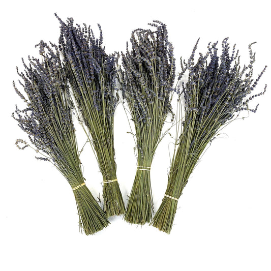 Dried Lavender Bunches