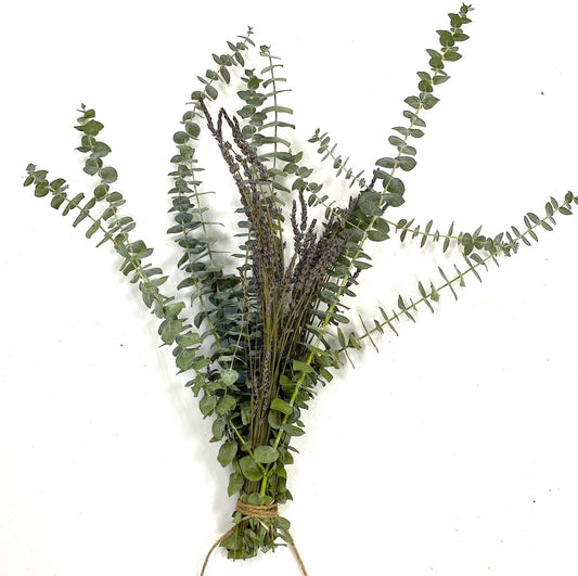 Eucalyptus Lavender Shower Bundle